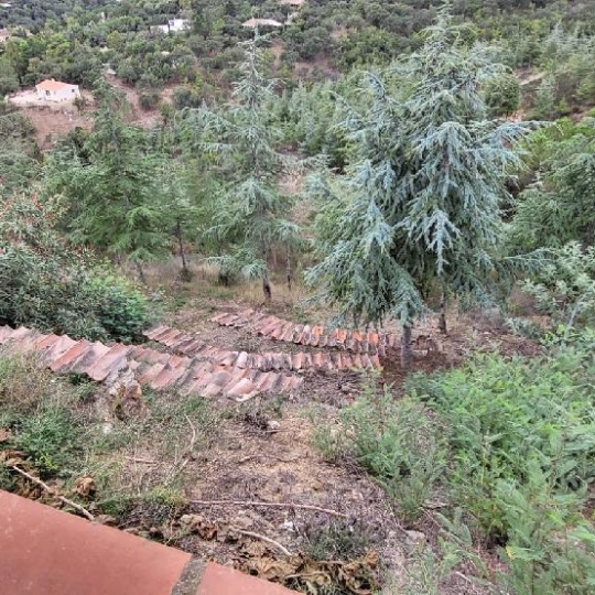  M.T.I. : Maison / Villa | THUIR (66300) | 150 m2 | 755 000 € 