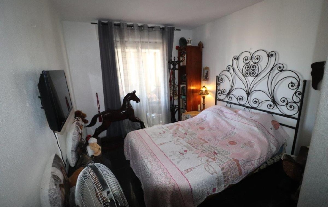 M.T.I. : Appartement | CANET-EN-ROUSSILLON (66140) | 50 m2 | 158 000 € 