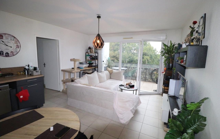  M.T.I. Appartement | PERPIGNAN (66000) | 58 m2 | 148 000 € 